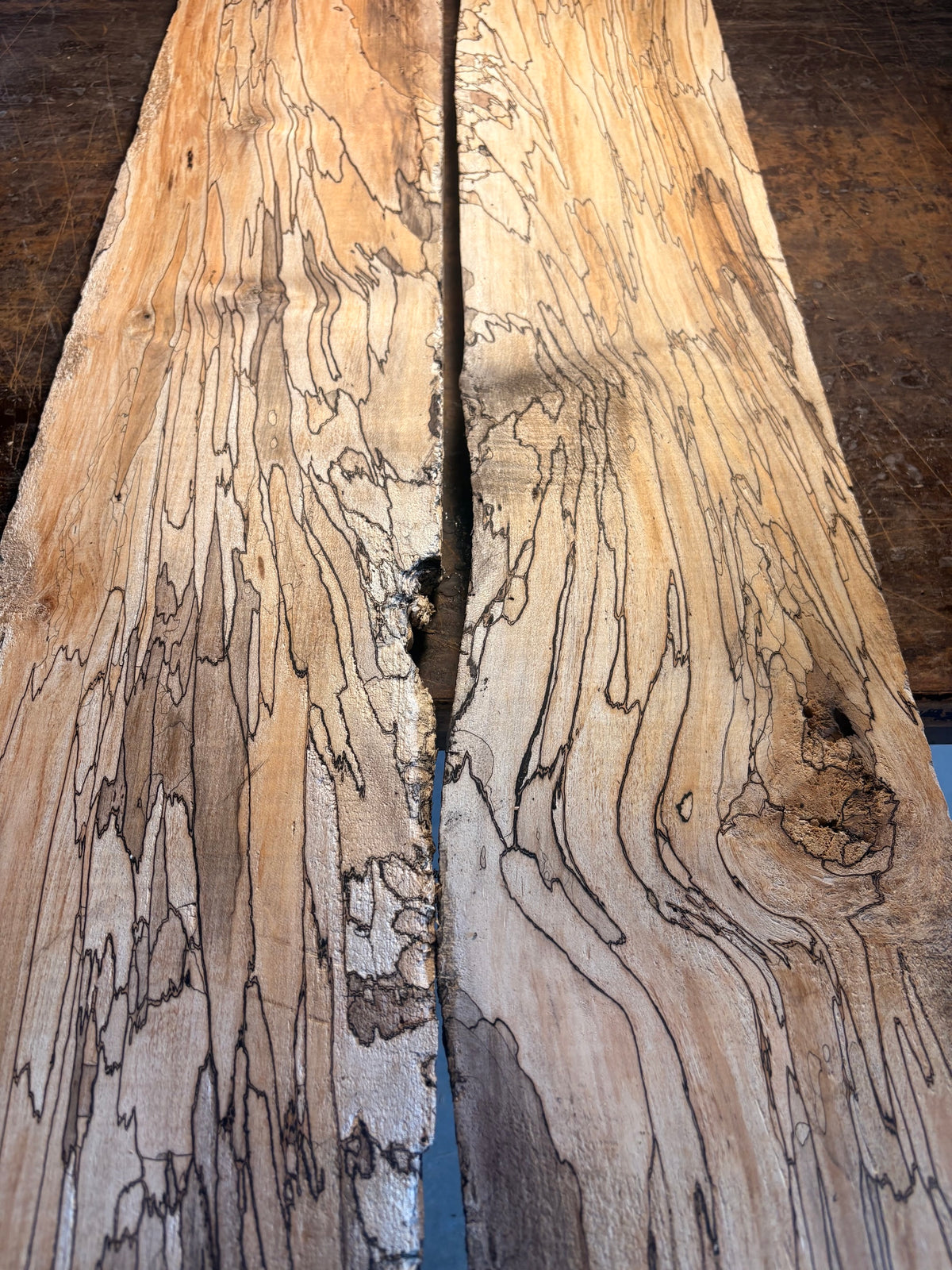 Spalted Maple