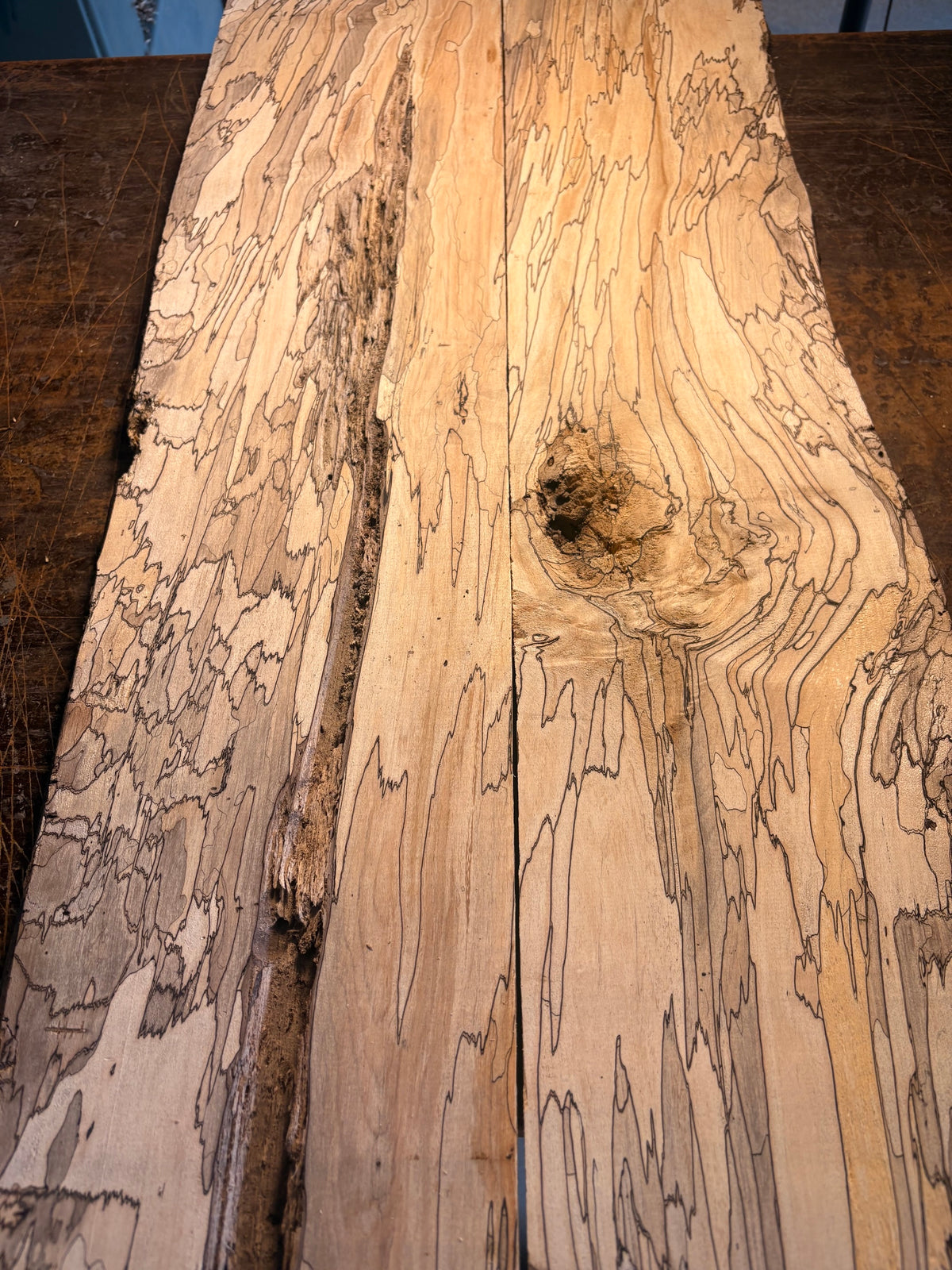 Spalted Maple