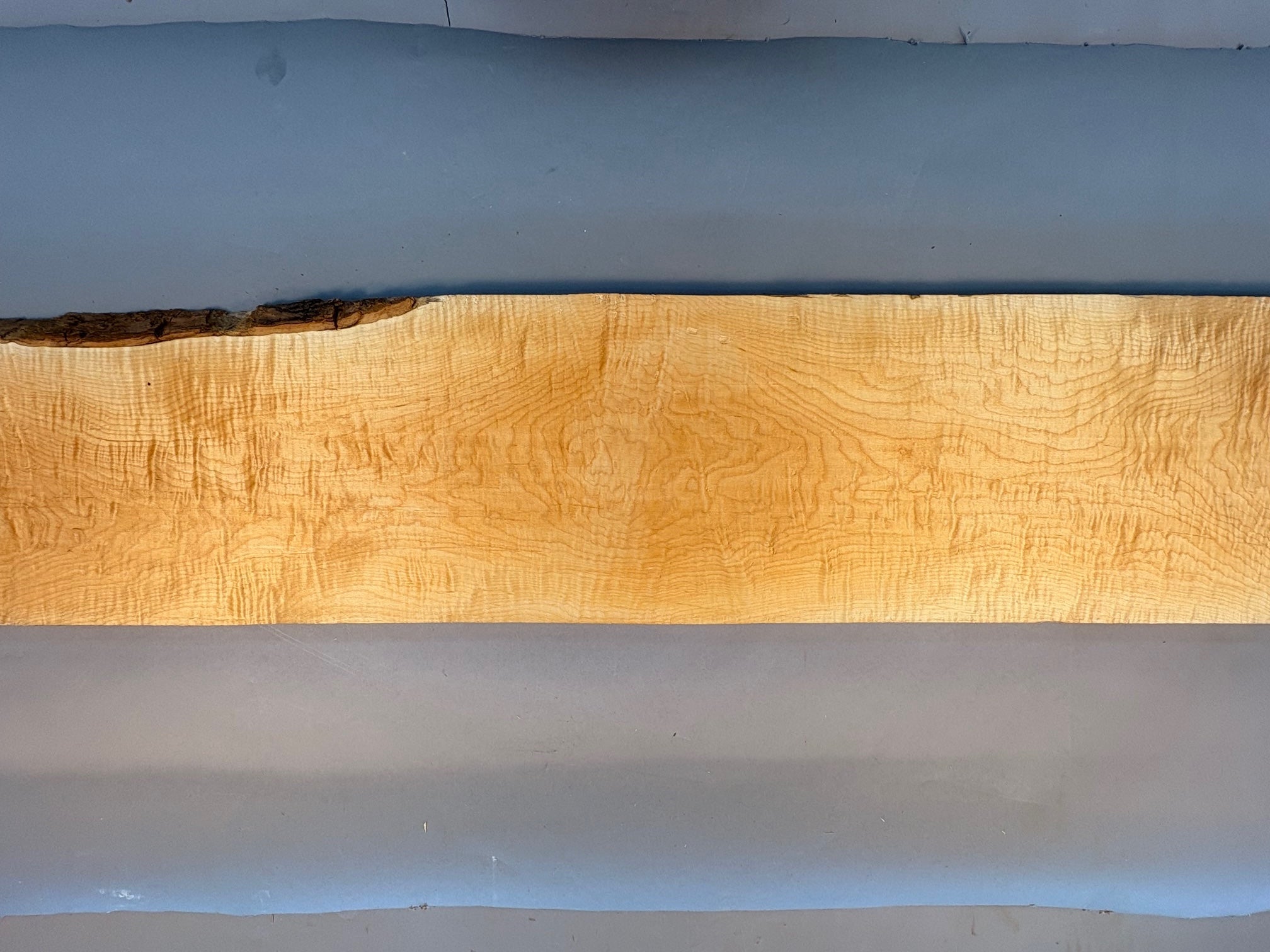 4/4 Curly Hard Maple Board-CM7-$85 Includes Shipping