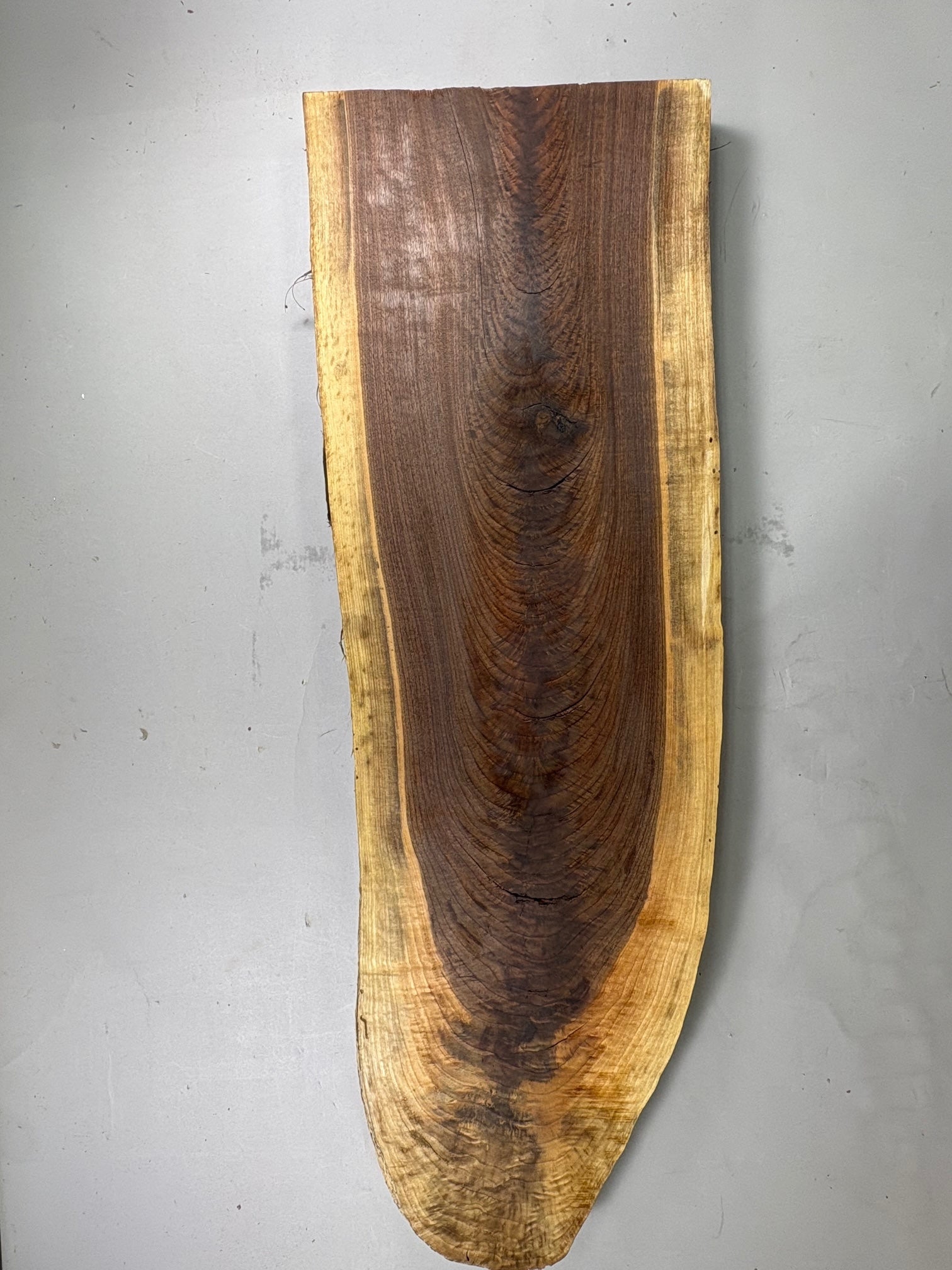 Large Walnut Crotch Slice-WC1002-$225 Includes Shipping