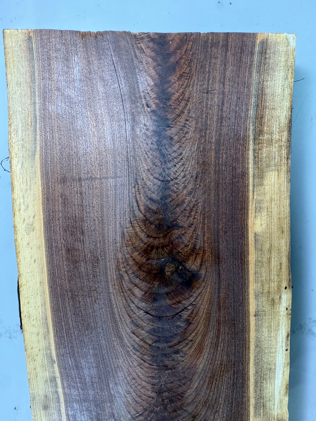 Large Walnut Crotch Slice-WC1002-$225 Includes Shipping