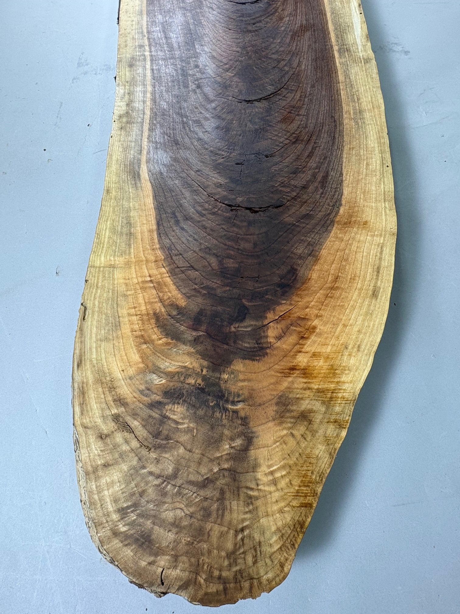 Large Walnut Crotch Slice-WC1002-$225 Includes Shipping