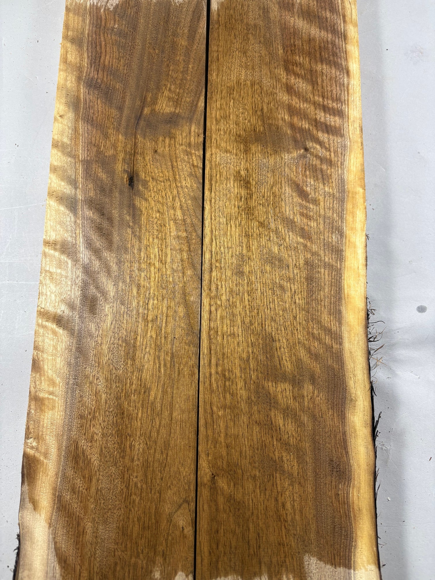 4/4 Curly Walnut (2 boards)-44CW1008-$180 Includes Shipping