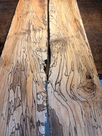 Spalted Maple