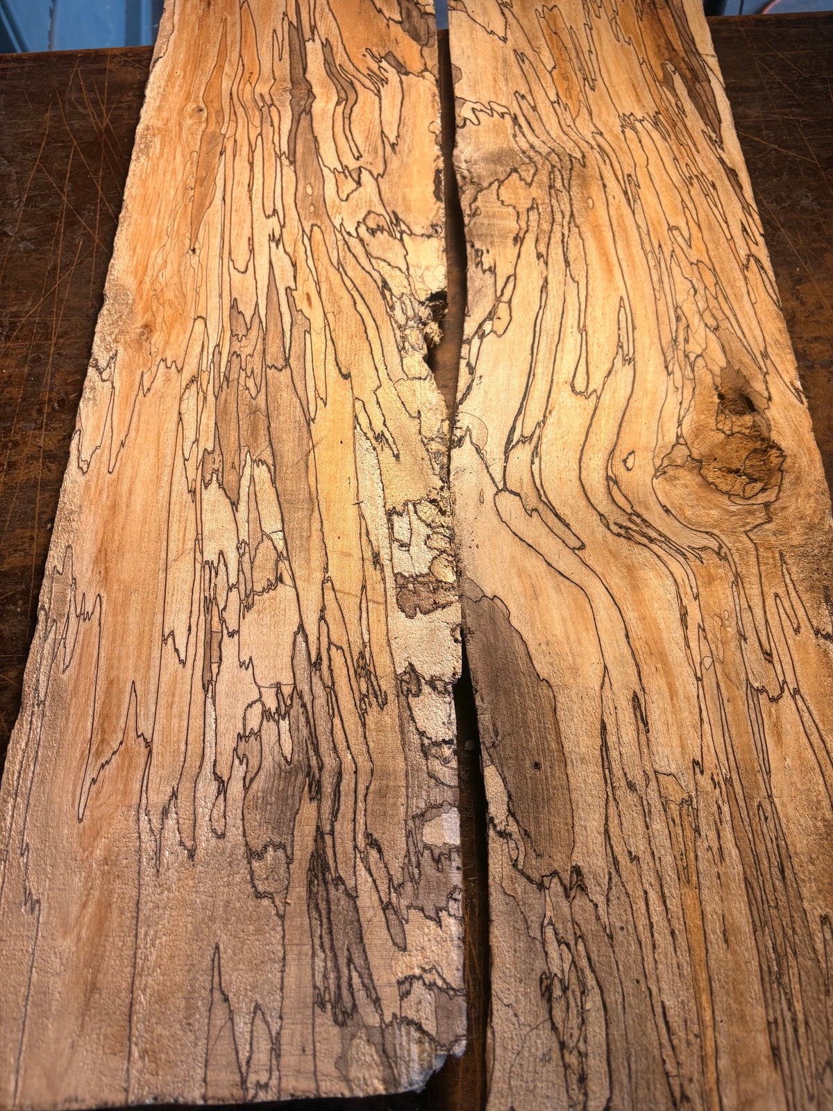 Spalted Maple