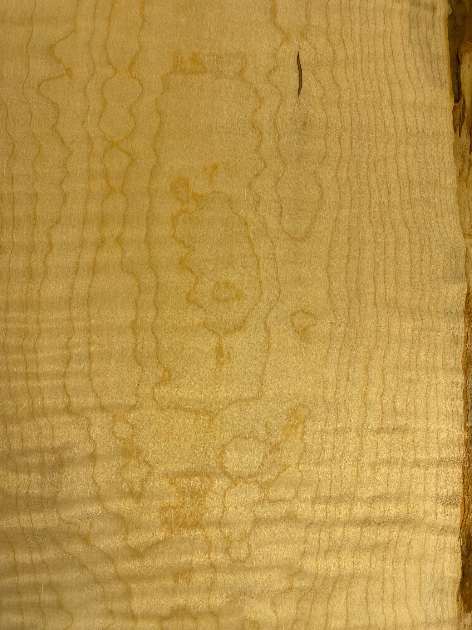 6/4 Curly Maple Board-64CM1008-$60 Includes Shipping
