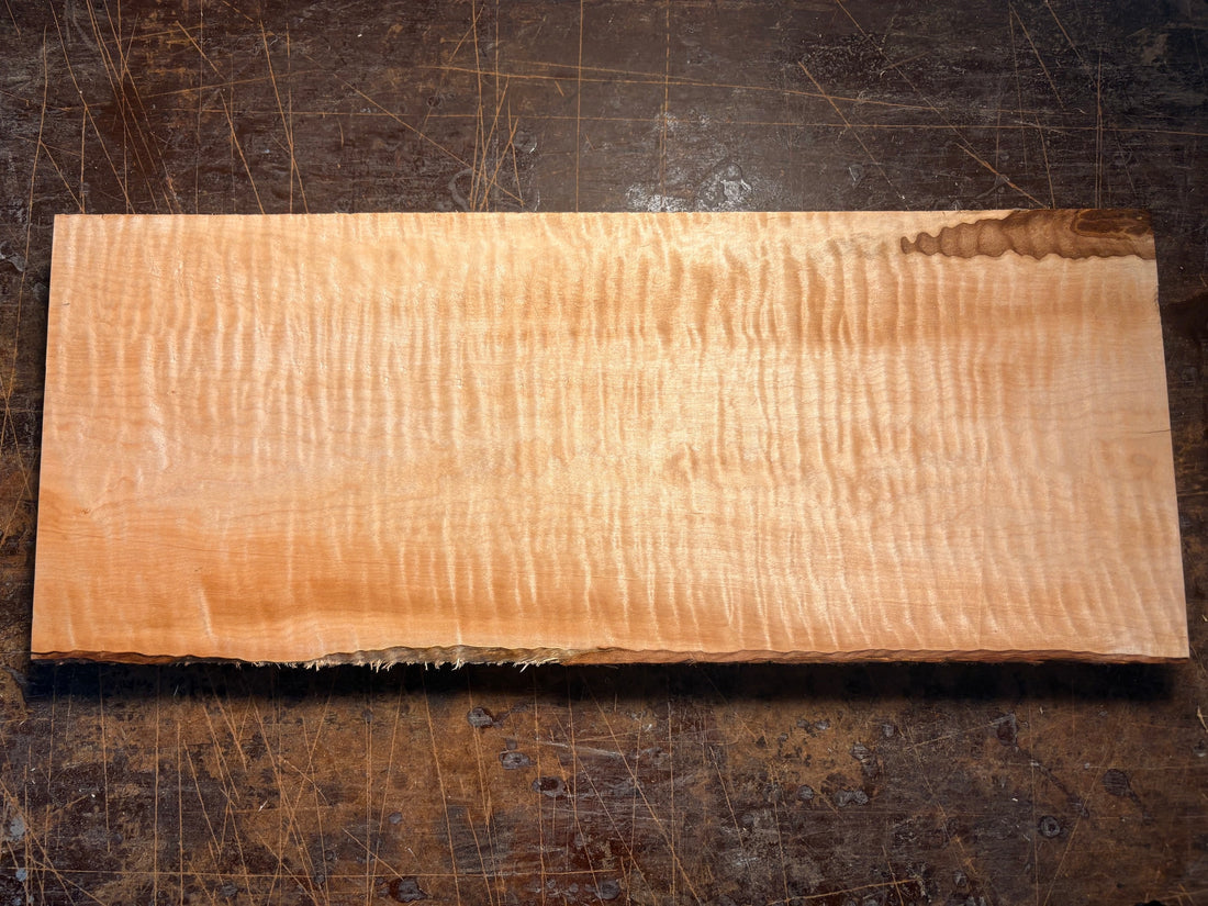 curly soft maple