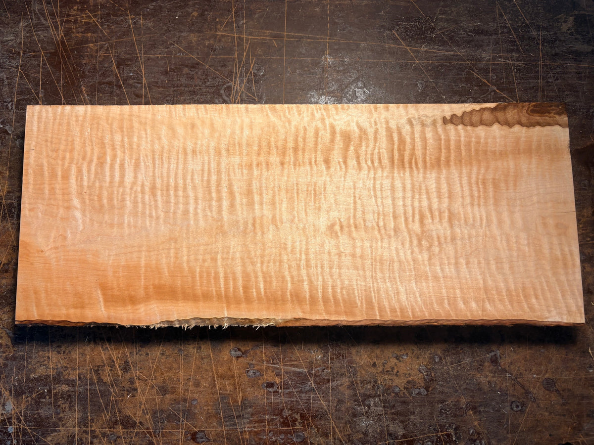 curly soft maple