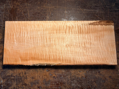curly soft maple
