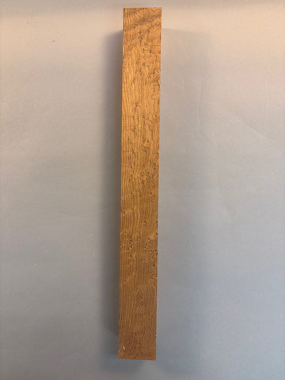 Roasted Birdseye Maple Pool Cue/Turning Blank-BEPC16-$65 Includes Shipping