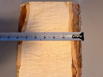 4/4 Curly Soft Maple Board-CM4-$70 Includes Shipping