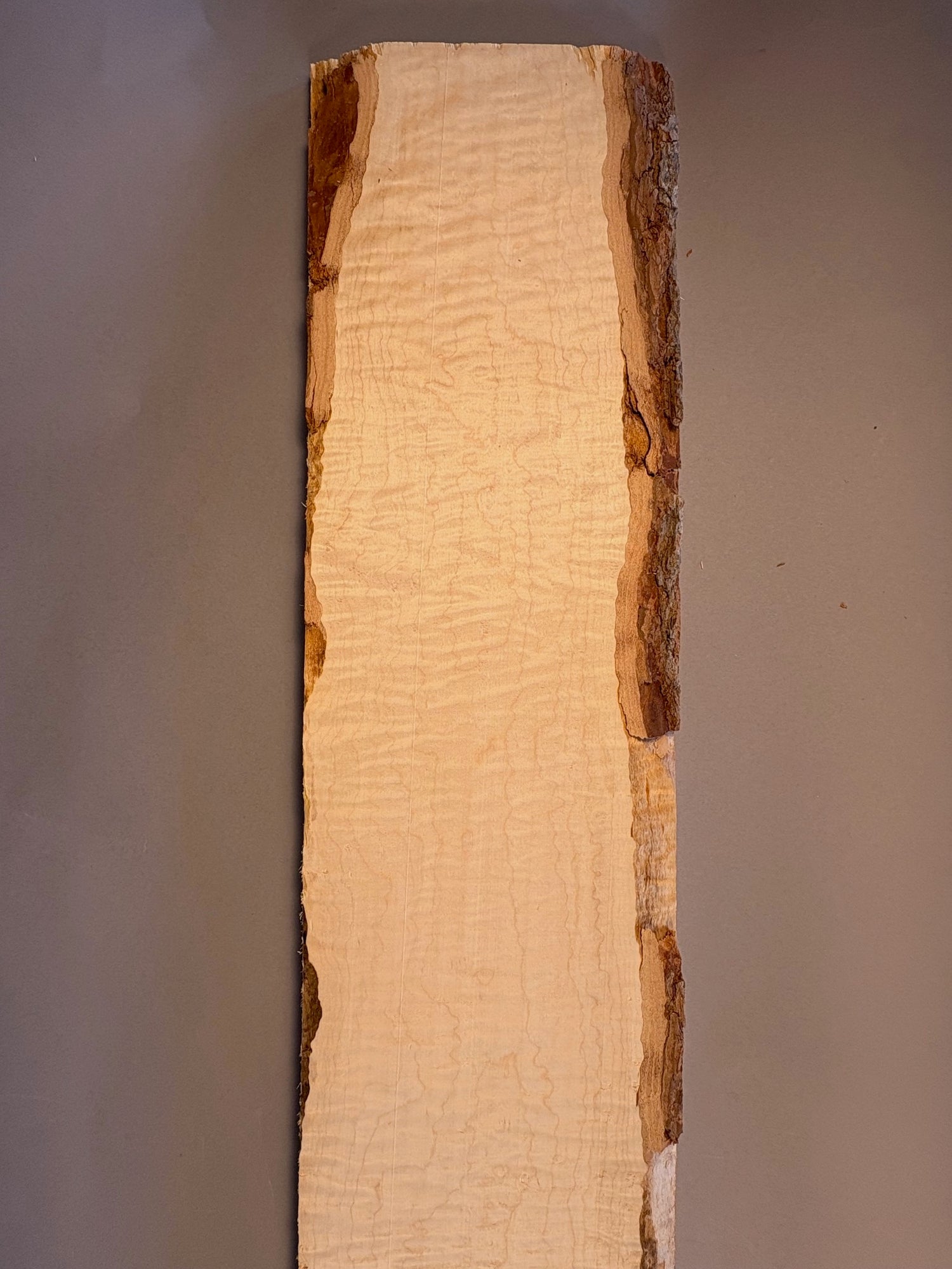4/4 Curly Soft Maple Board-CM4-$70 Includes Shipping