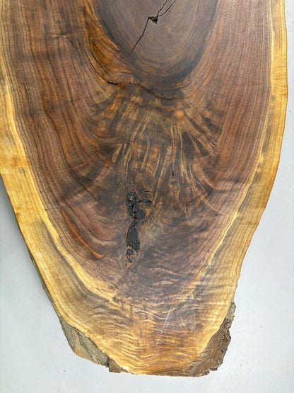 Large Walnut Crotch Slice-WC1001-$300 Includes Shipping