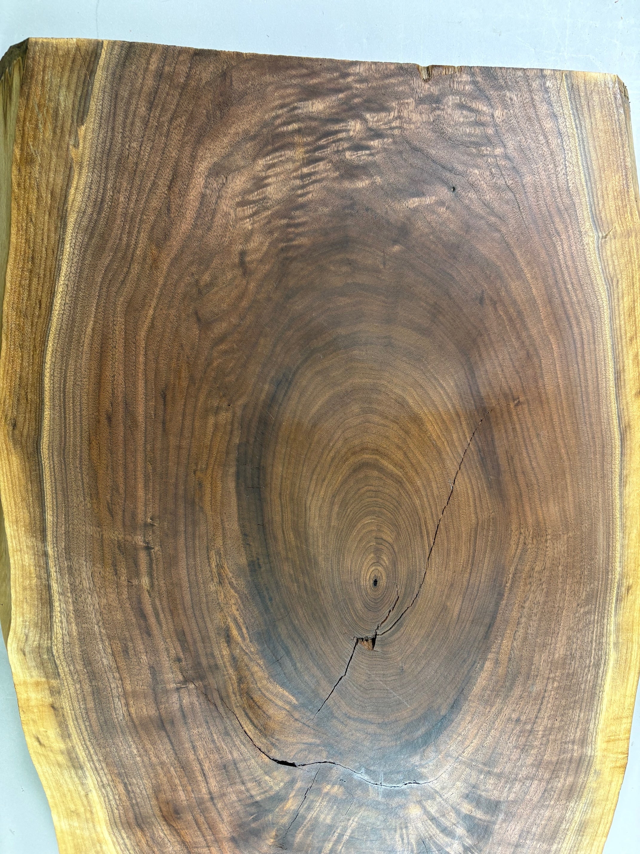 Large Walnut Crotch Slice-WC1001-$300 Includes Shipping