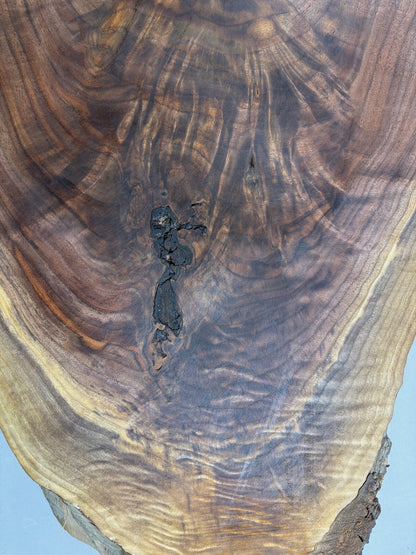 Large Walnut Crotch Slice-WC1001-$300 Includes Shipping