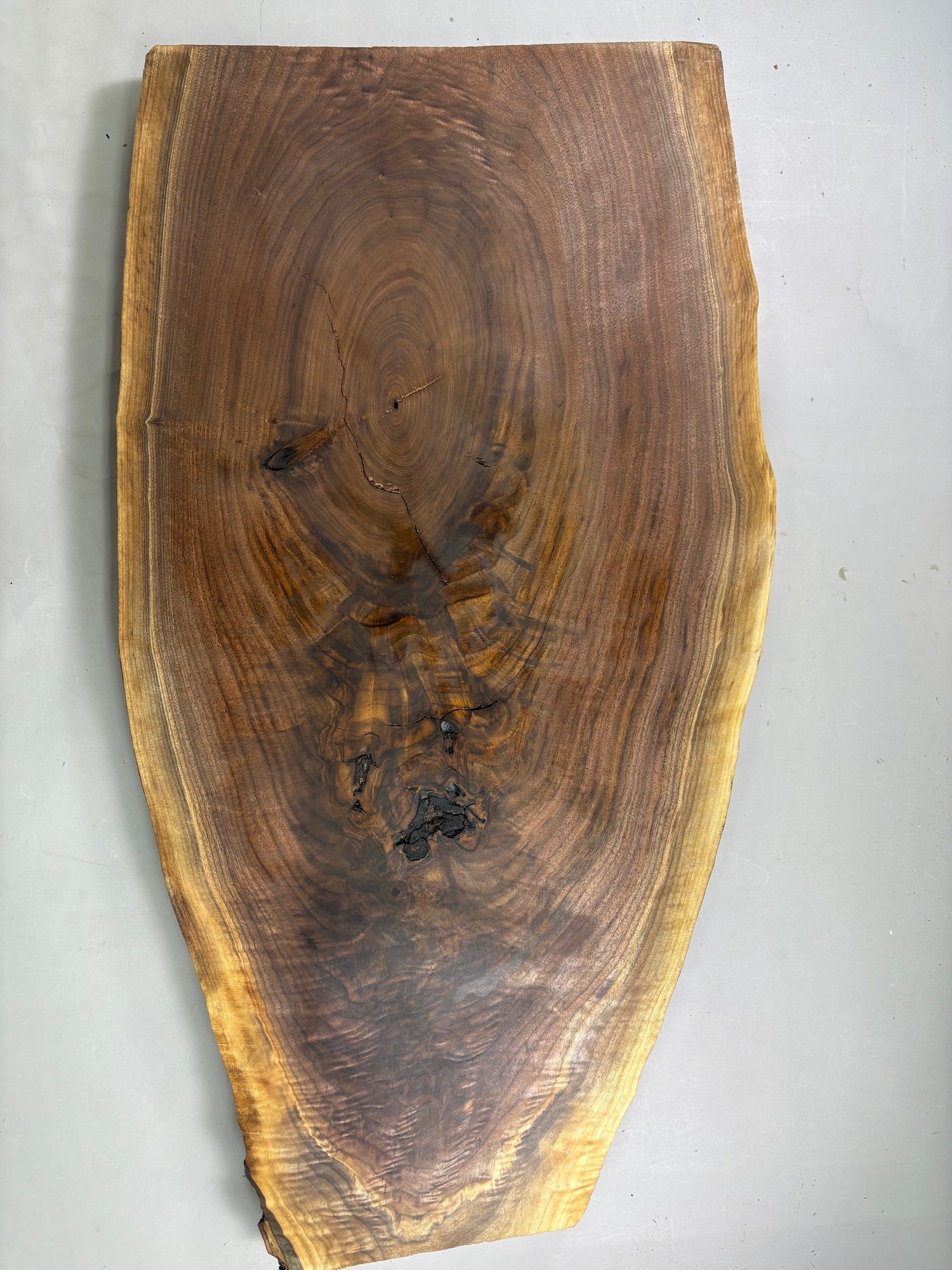 Large Walnut Crotch Slice-WC1001-$300 Includes Shipping