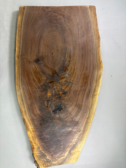 Large Walnut Crotch Slice-WC1001-$300 Includes Shipping