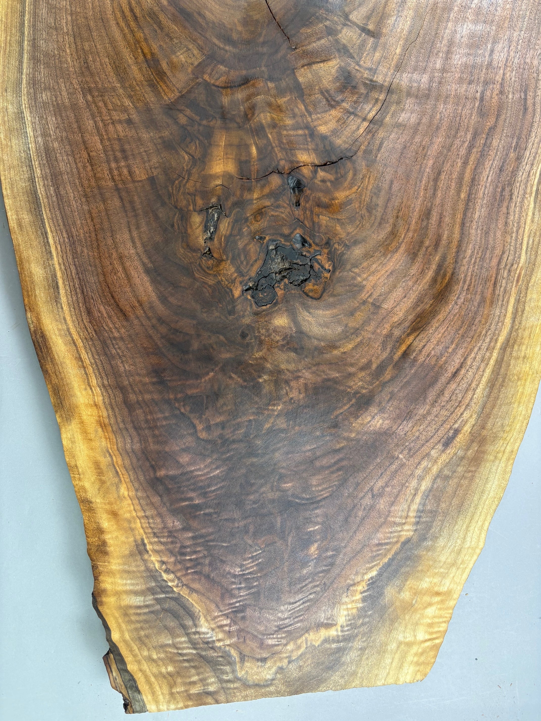 Large Walnut Crotch Slice-WC1001-$300 Includes Shipping