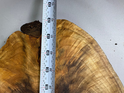 Large Walnut Crotch Slice-WC1002-$225 Includes Shipping