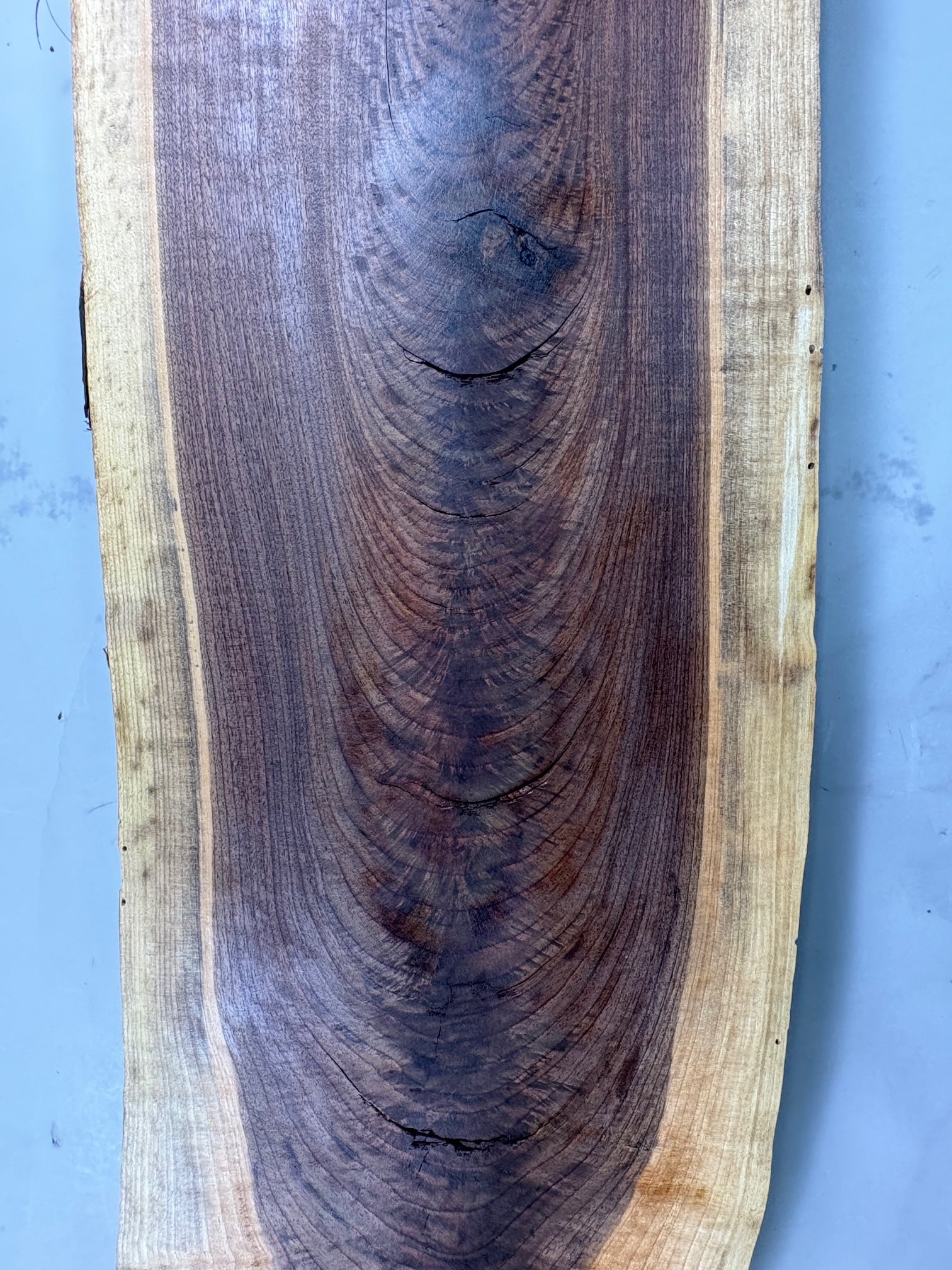 Large Walnut Crotch Slice-WC1002-$225 Includes Shipping
