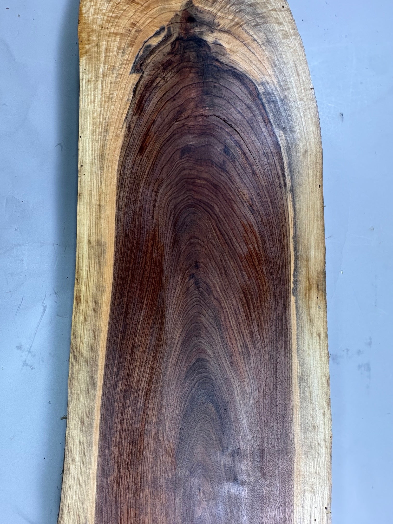 Large Walnut Crotch Slice-WC1002-$225 Includes Shipping