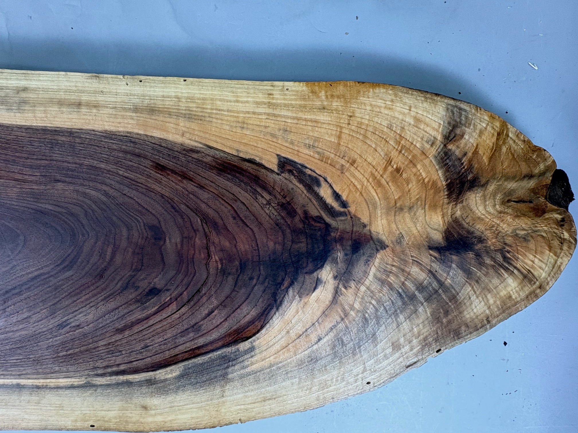 Large Walnut Crotch Slice-WC1002-$225 Includes Shipping