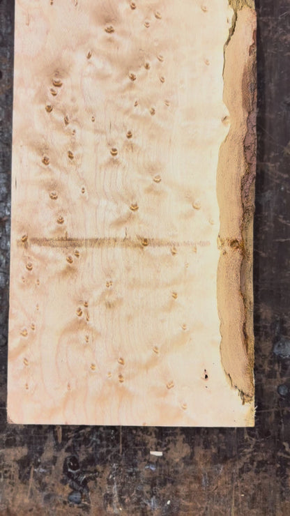 4/4 Birdseye Maple Board (Guitar Neck)-44BE1011-$50 Includes Shipping