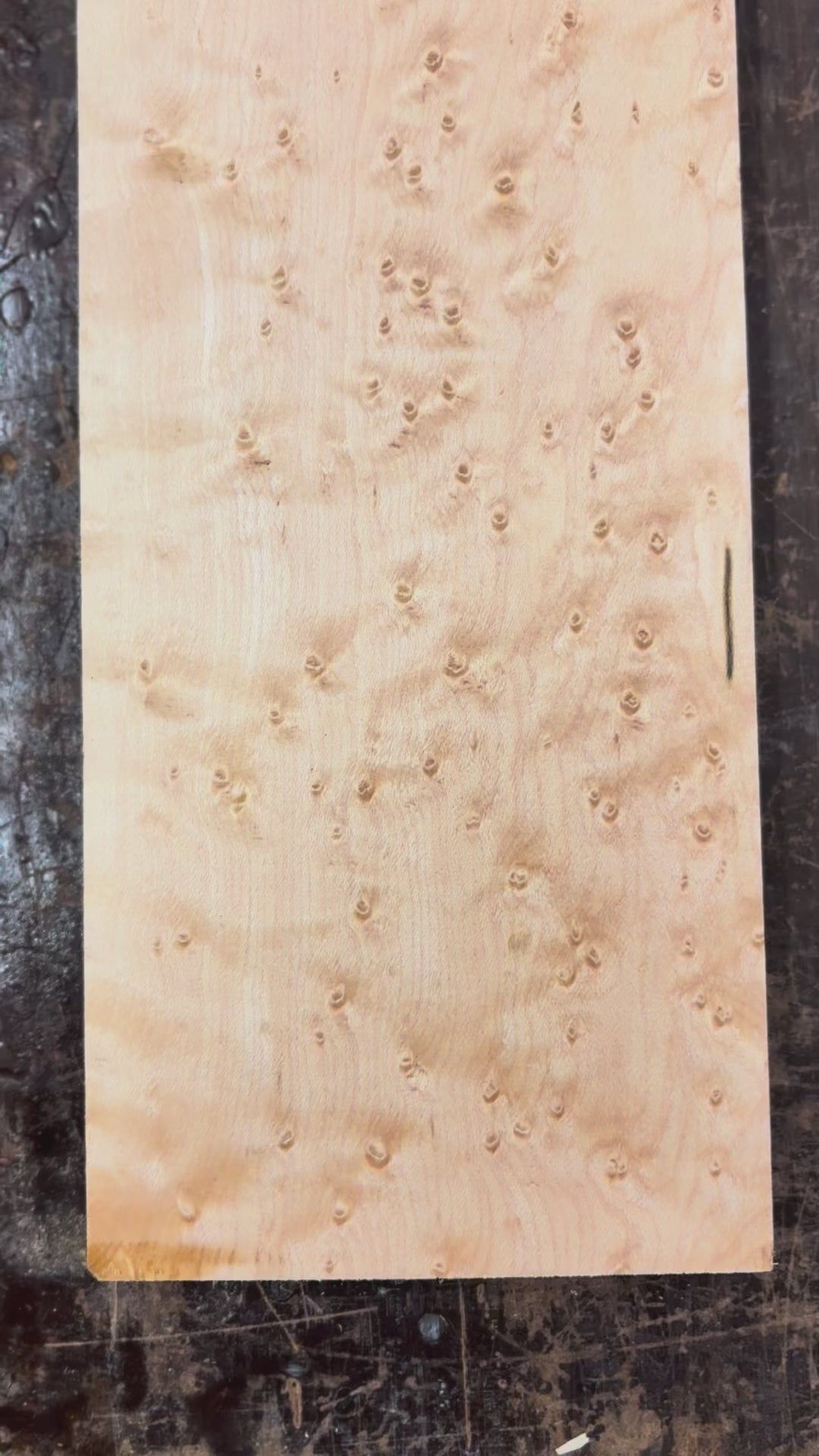 4/4 Birdseye Maple Board (Guitar Neck)-44BE1011-$50 Includes Shipping