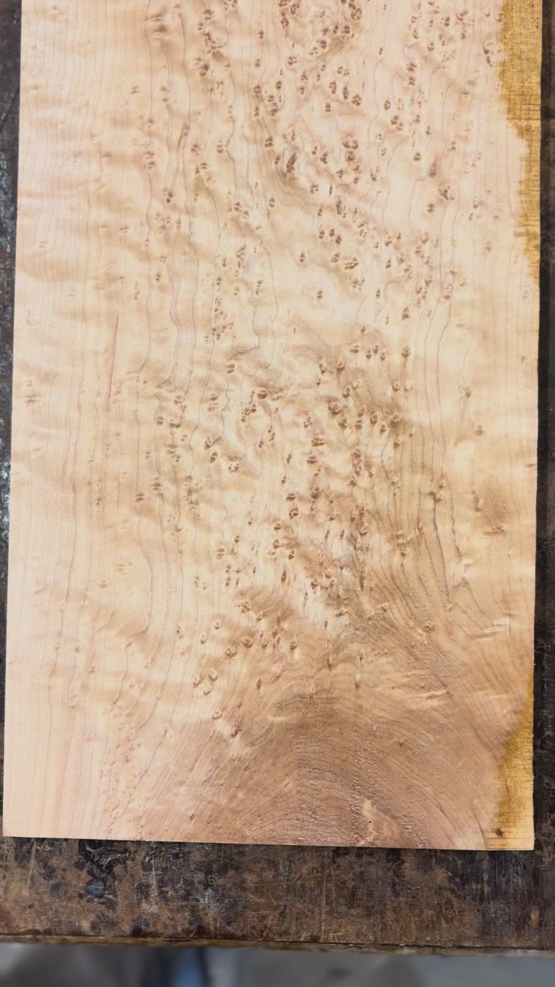 4/4 Birdseye Maple Board-44BE1014-$80 Includes Shipping